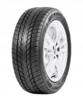 225/60R17 opona DAVANTI Wintoura 103V